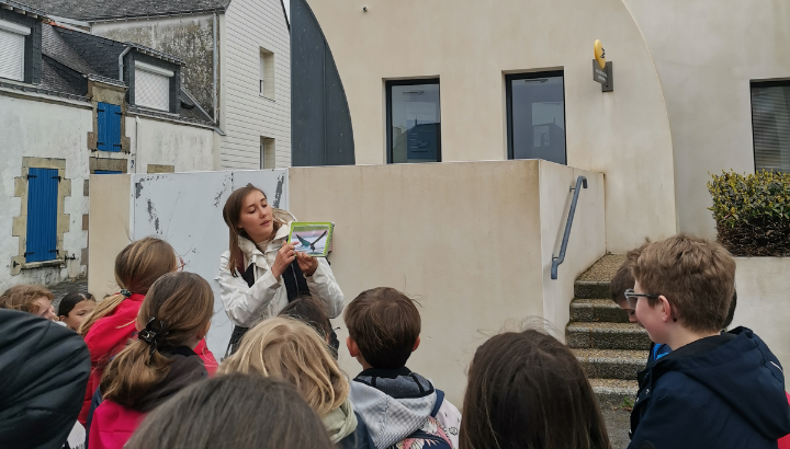 Les élèves de Billiers à la recherche des Hirondelles